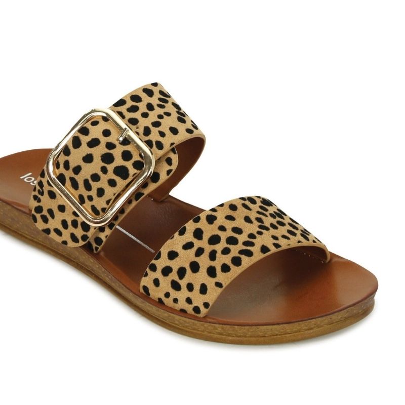 Los Cabos Doti Slide