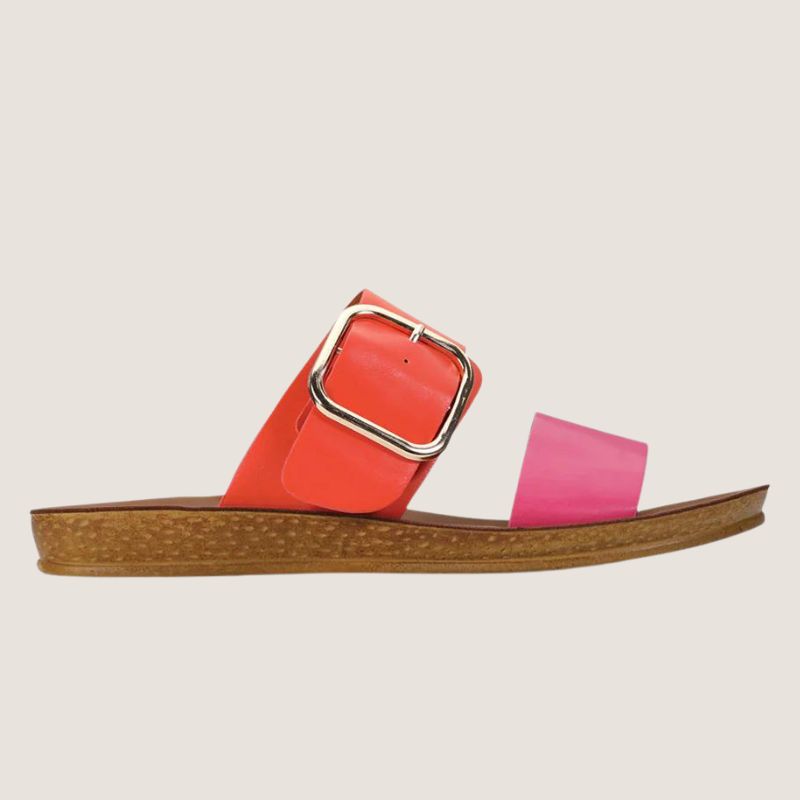 Los Cabos Doti Slide