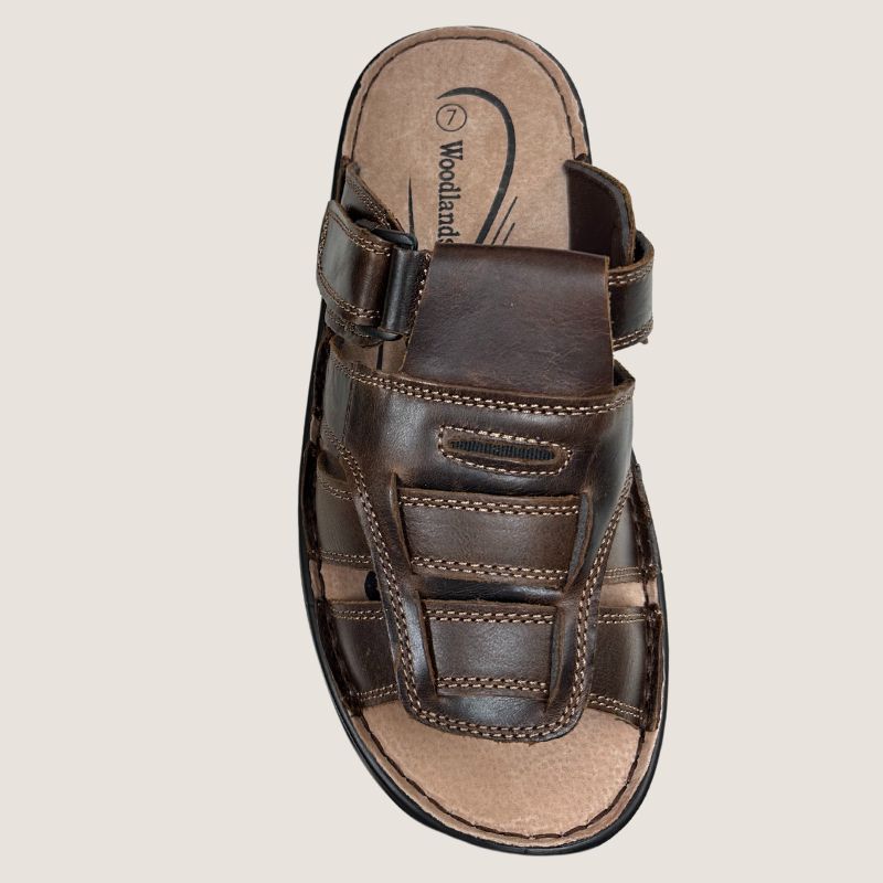 Woodlands Hoyt Slide