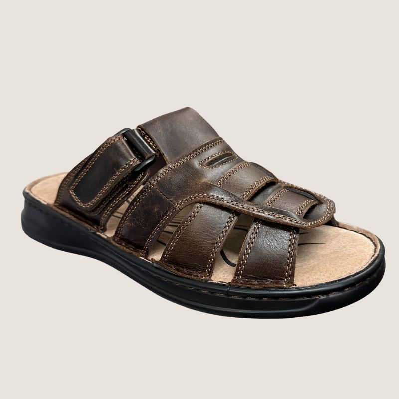 Woodlands Hoyt Slide