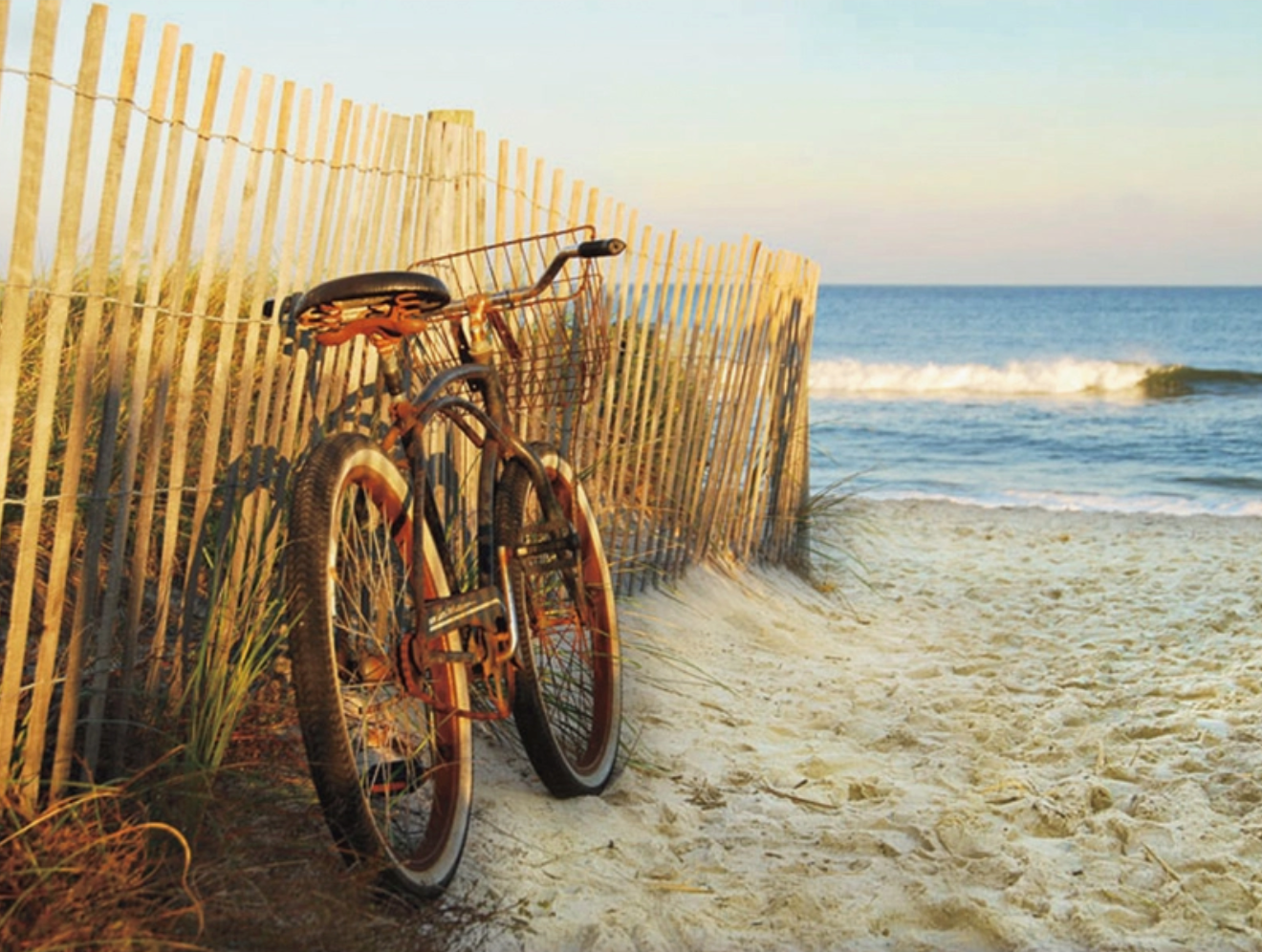 Jigsaw Puzzle, Several Prints