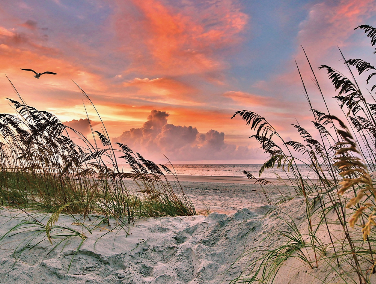 Jigsaw Puzzle, Several Prints