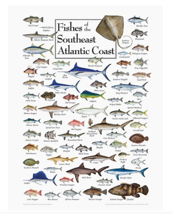 Jigsaw Puzzle, Several Prints